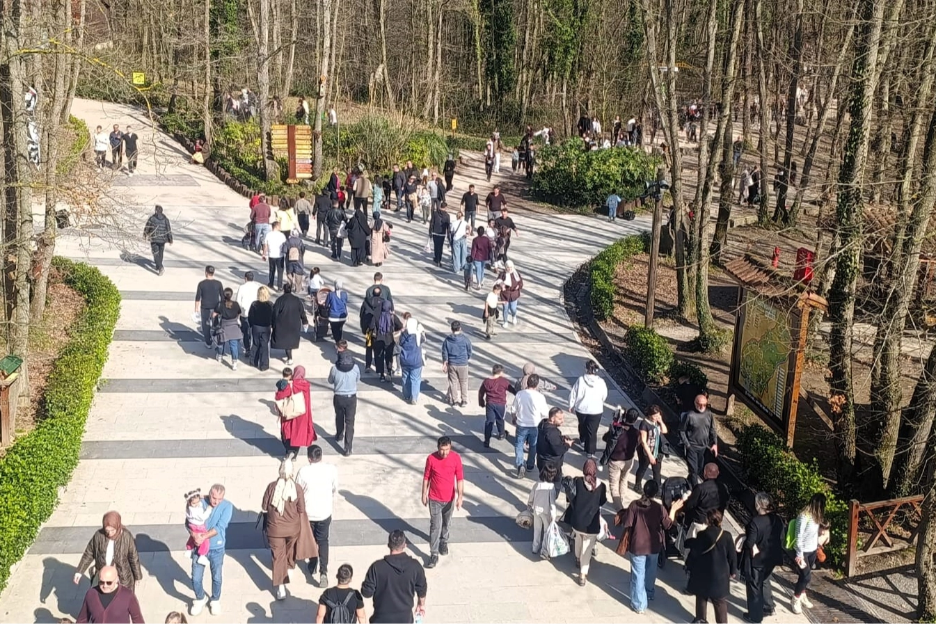 Güzel havanın rotası Ormanya oldu